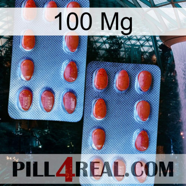 100 Mg 05.jpg